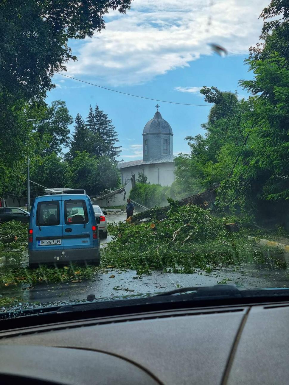 Vijelia a făcut prăpăd în București și Ilfov. Copaci rupți și stâlpi puși la pământ 779555