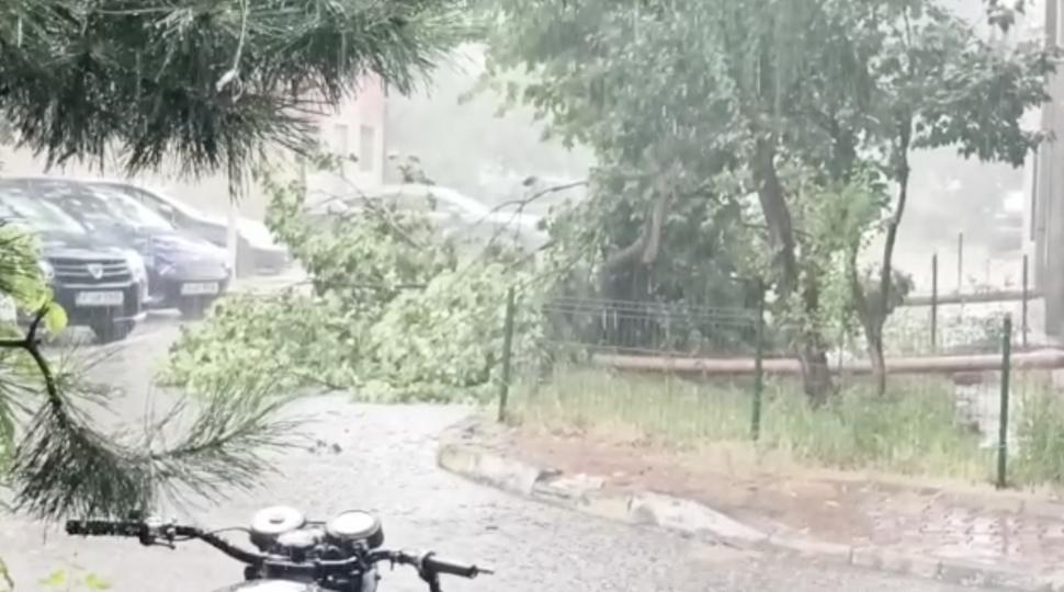 Vijelia a făcut prăpăd în București și Ilfov. Copaci rupți și stâlpi puși la pământ 779557