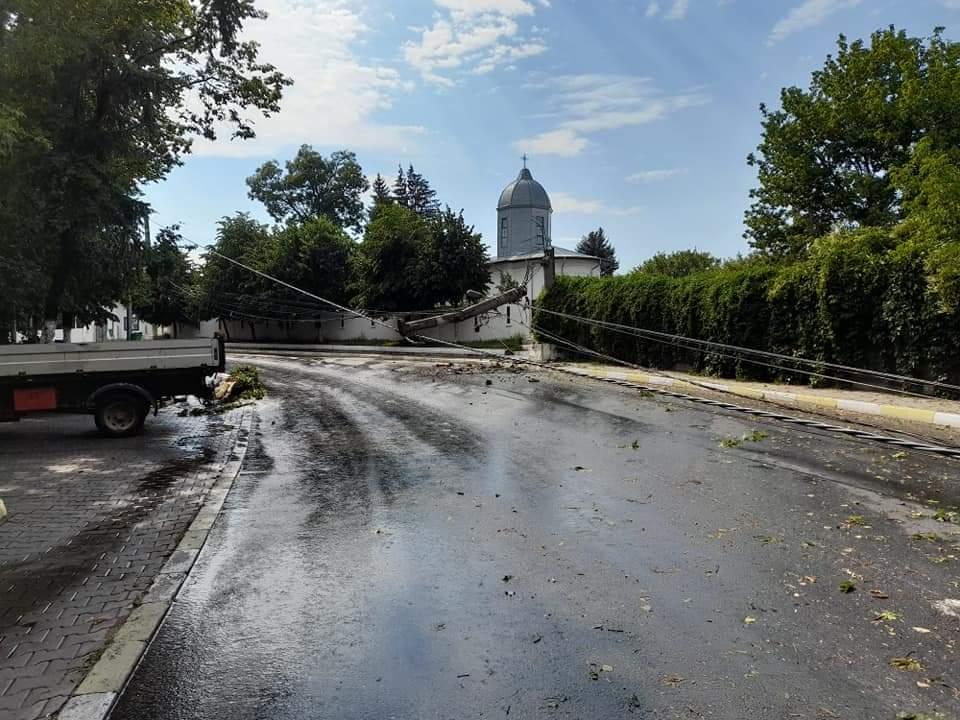 Vijelia a făcut prăpăd în București și Ilfov. Copaci rupți și stâlpi puși la pământ 779558