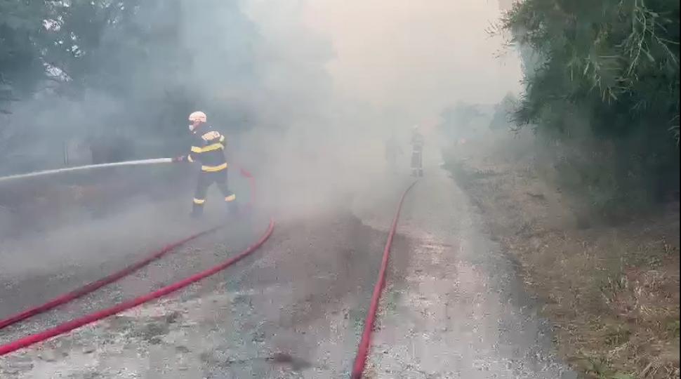Incendii majore în Grecia. Pompierii români intervin în Nord-Estul Atenei 779996