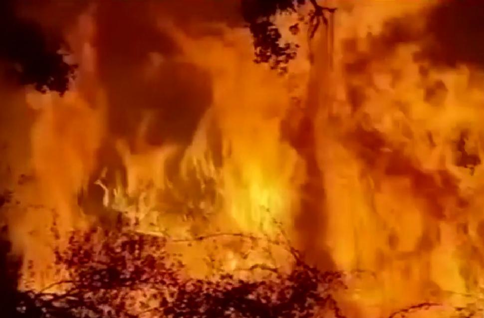 Un tren de călători a fost înconjurat de flăcări la Zamora, în Spania. Ce s-a întâmplat cu pasagerii 779965