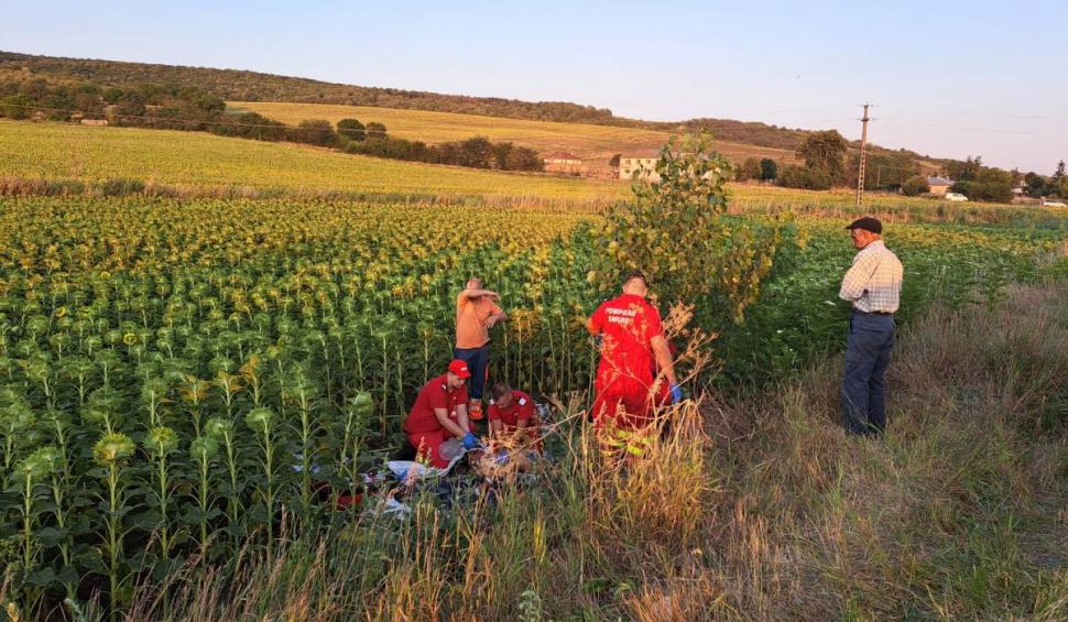 Un băiat de 12 ani din Vaslui a murit după ce o mașină a spulberat căruța în care se afla 780216