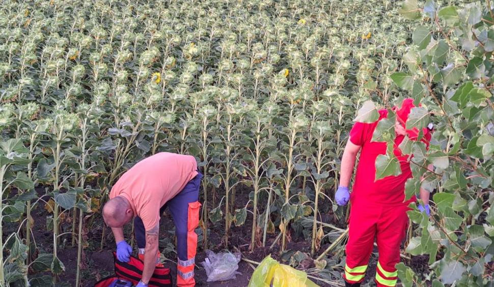 Un băiat de 12 ani din Vaslui a murit după ce o mașină a spulberat căruța în care se afla 780218