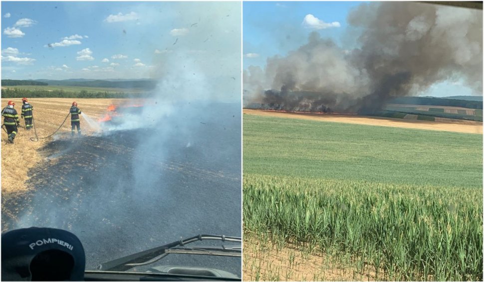 Incendiu de vegetație devastator, în Bacău! 15 hectare de grâu au ars