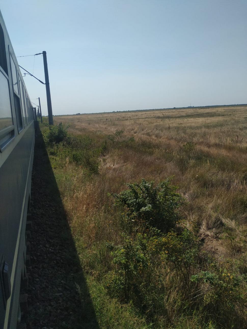 Tren de la Târgu Jiu, blocat în câmp de trei ore! Zeci de oameni ținuți în căldură | Aerul condiționat nu funcționează 780053