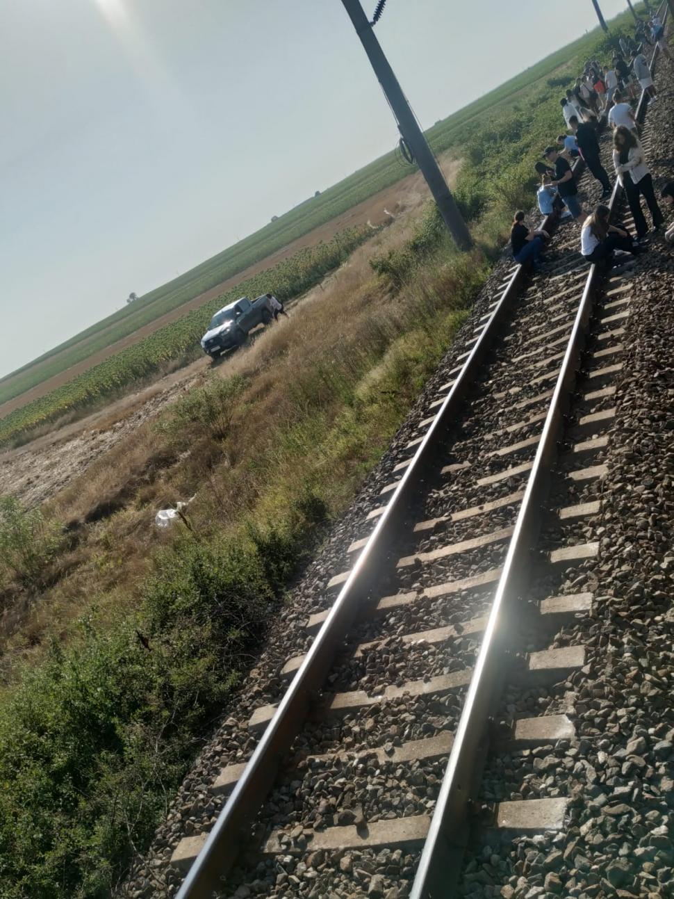 Tren de la Târgu Jiu, blocat în câmp de trei ore! Zeci de oameni ținuți în căldură | Aerul condiționat nu funcționează 780054
