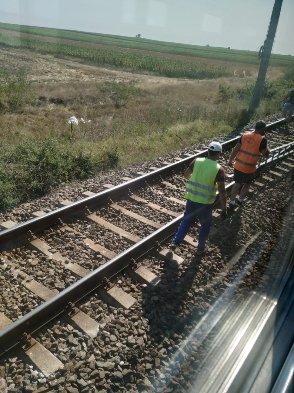 Tren de la Târgu Jiu, blocat în câmp de trei ore! Zeci de oameni ținuți în căldură | Aerul condiționat nu funcționează 780056