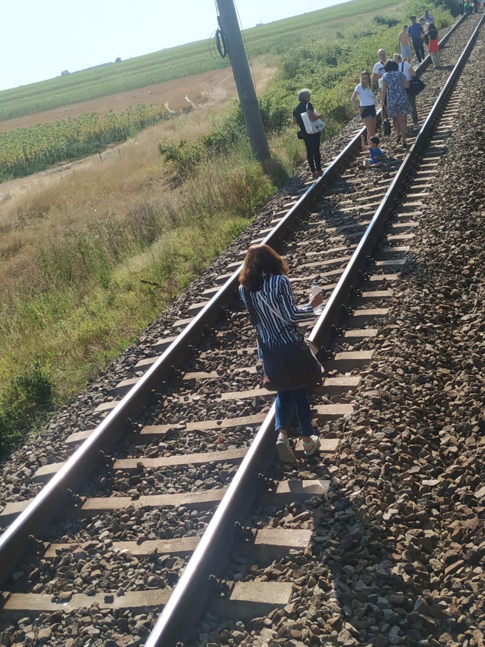 Tren de la Târgu Jiu, blocat în câmp de trei ore! Zeci de oameni ținuți în căldură | Aerul condiționat nu funcționează 780057
