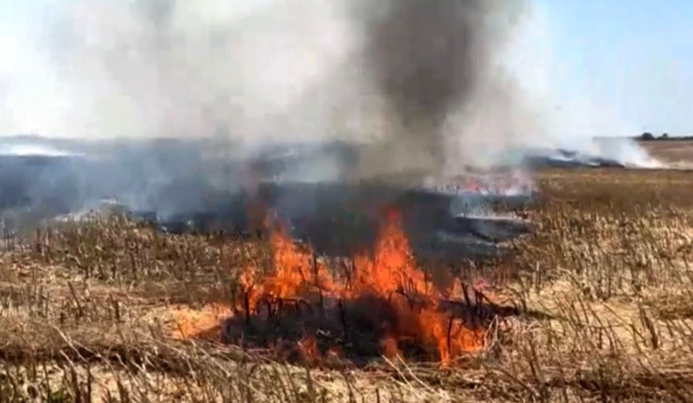 Incendiu de proporţii, pe zeci de hectare, lângă Timişoara: "Totul arde în jur!"