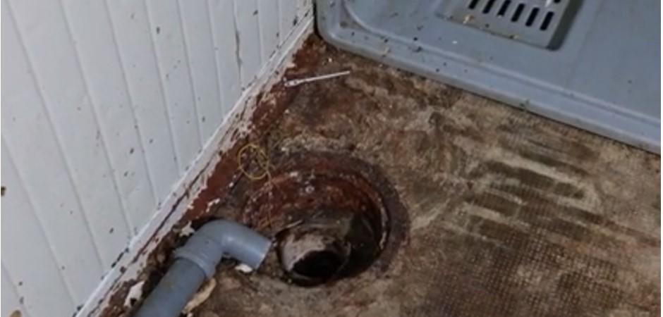 "Hala Obor trebuie să iasă la pensie" | Decizia comisarilor ANPC 780602