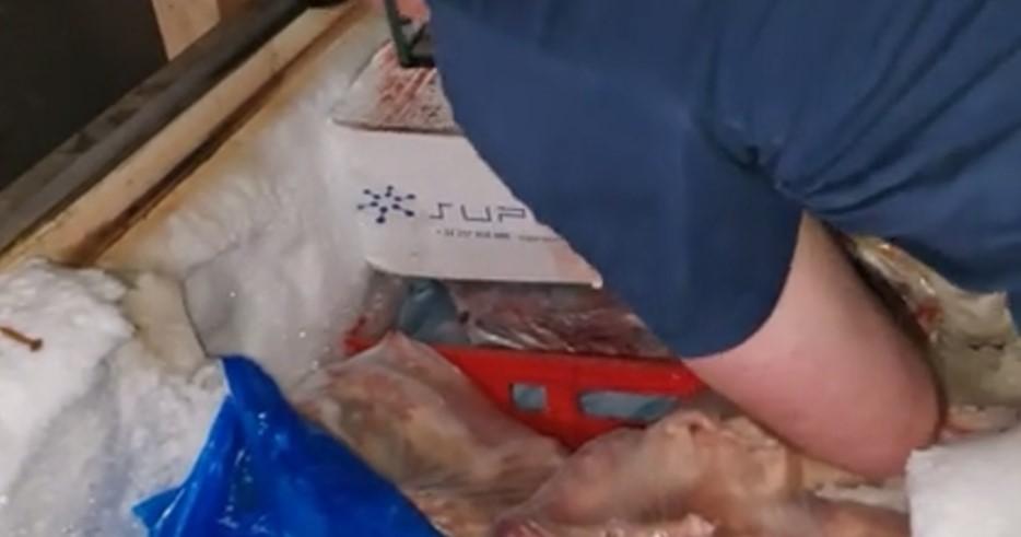 "Hala Obor trebuie să iasă la pensie" | Decizia comisarilor ANPC 780603