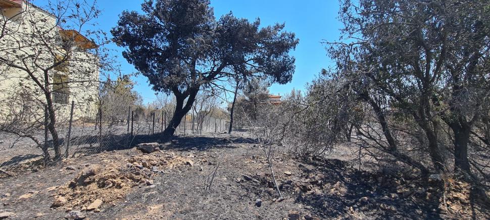 Imagini apocaliptice din regiunea Penteli din Grecia, devastată de incendiile de vegetaţie 780643