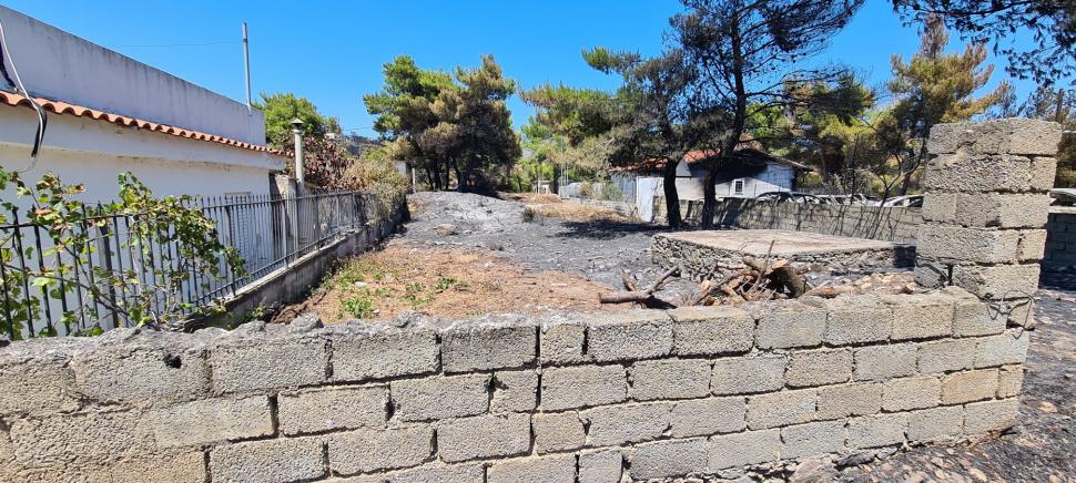 Imagini apocaliptice din regiunea Penteli din Grecia, devastată de incendiile de vegetaţie 780655