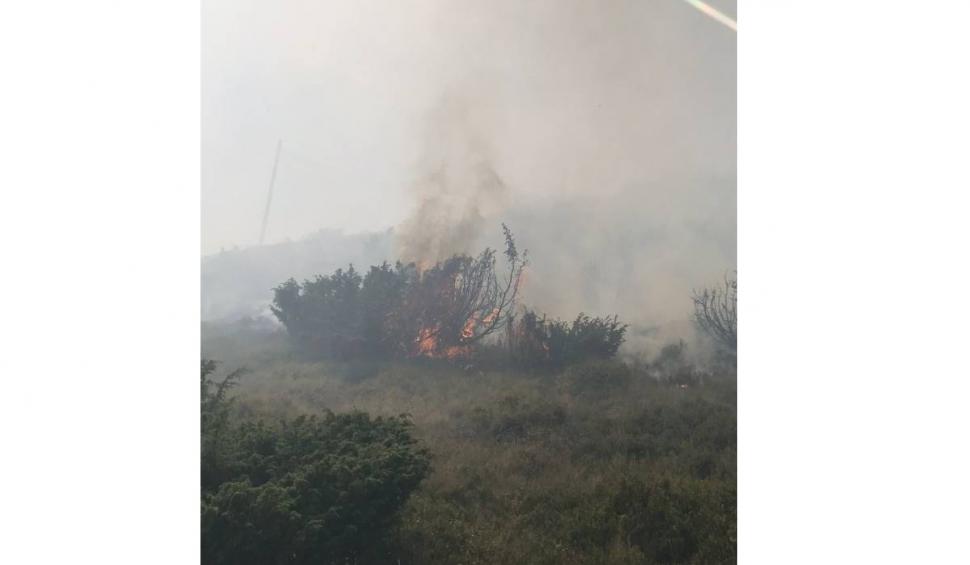 Arde Muntele Găina! | Pompierii încercă să evite un dezastru ecologic 780674