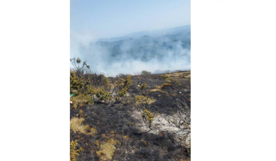 Arde Muntele Găina! | Pompierii încercă să evite un dezastru ecologic 780675