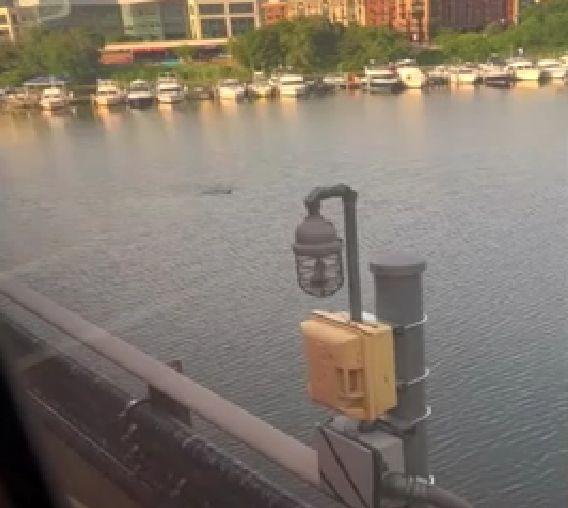 Scene dramatice după ce un tren a luat foc: pasagerii au ieșit pe geamuri iar o femeie s-a aruncat într-un râu, în SUA 780612