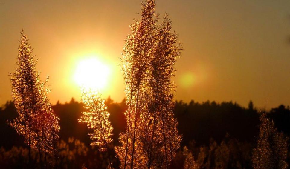 Cod portocaliu de caniculă, în jumătate de țară | Cât timp e valabilă avertizarea ANM de vreme extremă 780728