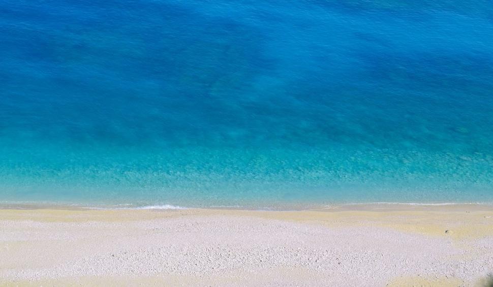 Noua spaimă a turiștilor care merg pe litoral. Ce trebuie să faci dacă te-a înțepat ariciul de mare 780812