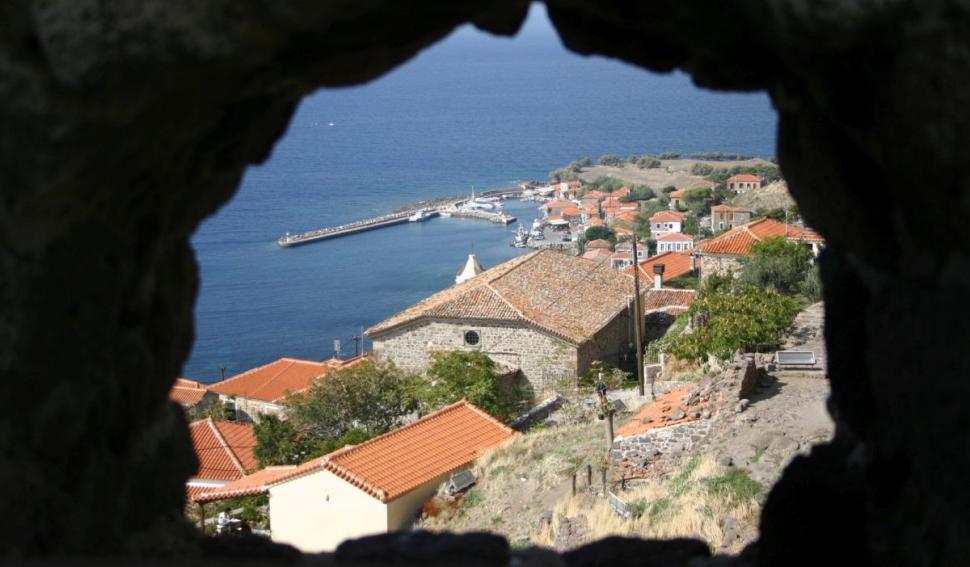 Noua spaimă a turiștilor care merg pe litoral. Ce trebuie să faci dacă te-a înțepat ariciul de mare 780814