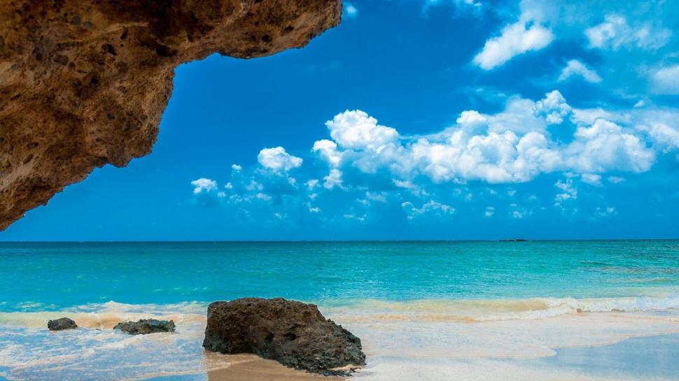 Noua spaimă a turiștilor care merg pe litoral. Ce trebuie să faci dacă te-a înțepat ariciul de mare 780815