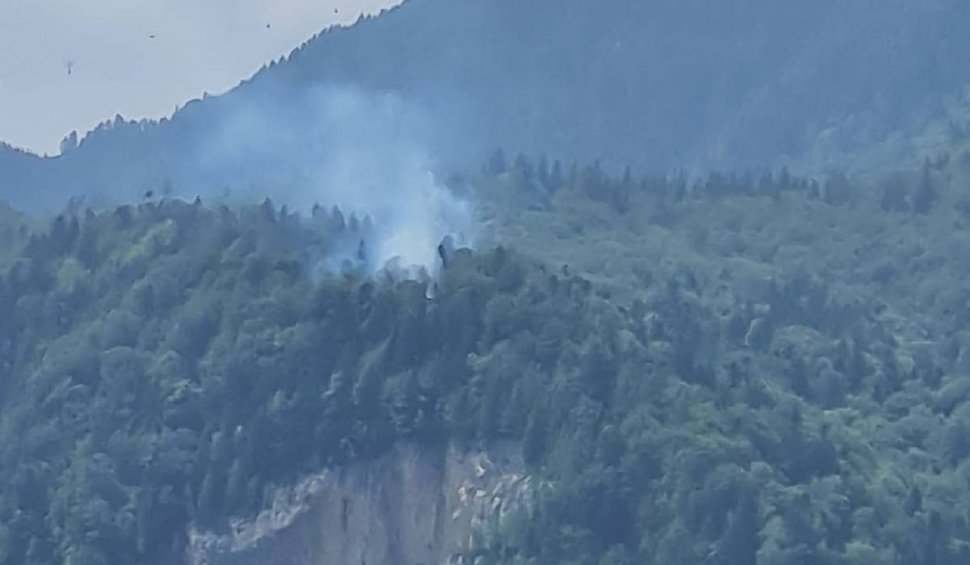 Incendiu în Munții Bucegi | Arde pădurea de lângă Piatra Arsă