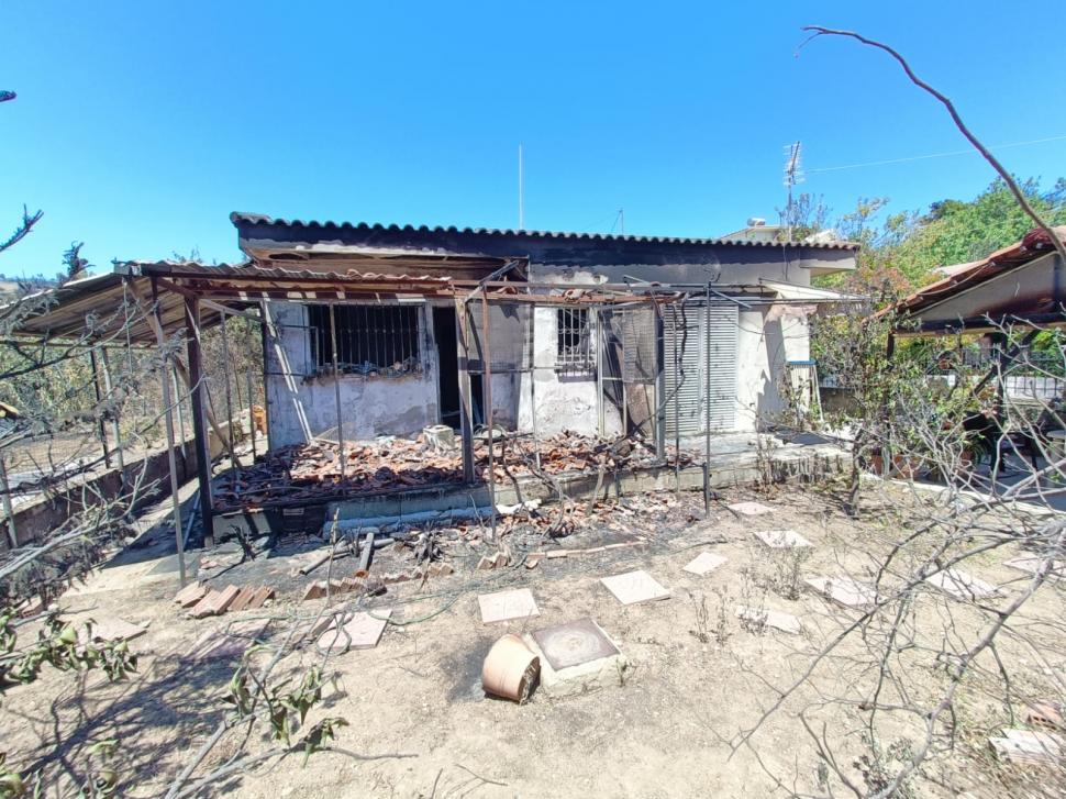 Concediile din Grecia sunt sub semnul focului! Echipa Antena 3 a surprins imaginile dezastrului din staţiunile turistice  781195