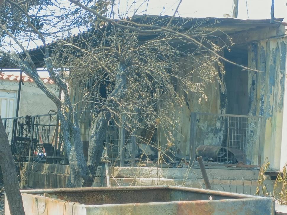 Grecii le mulţumesc în lacrimi pompierilor români: "Vă mulţumim tuturor pentru ajutor, suntem ca fraţii" | Imaginile dezastrului din Gryllos 781460