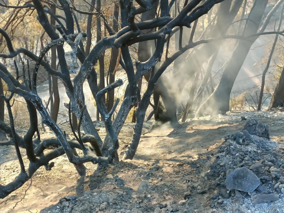 Grecii le mulţumesc în lacrimi pompierilor români: "Vă mulţumim tuturor pentru ajutor, suntem ca fraţii" | Imaginile dezastrului din Gryllos 781462