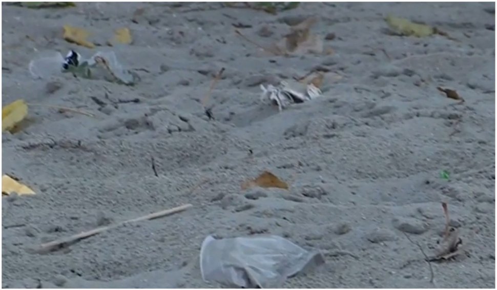 Litoralul, sufocat de gunoaie. Topul celor mai murdare plaje din Constanţa