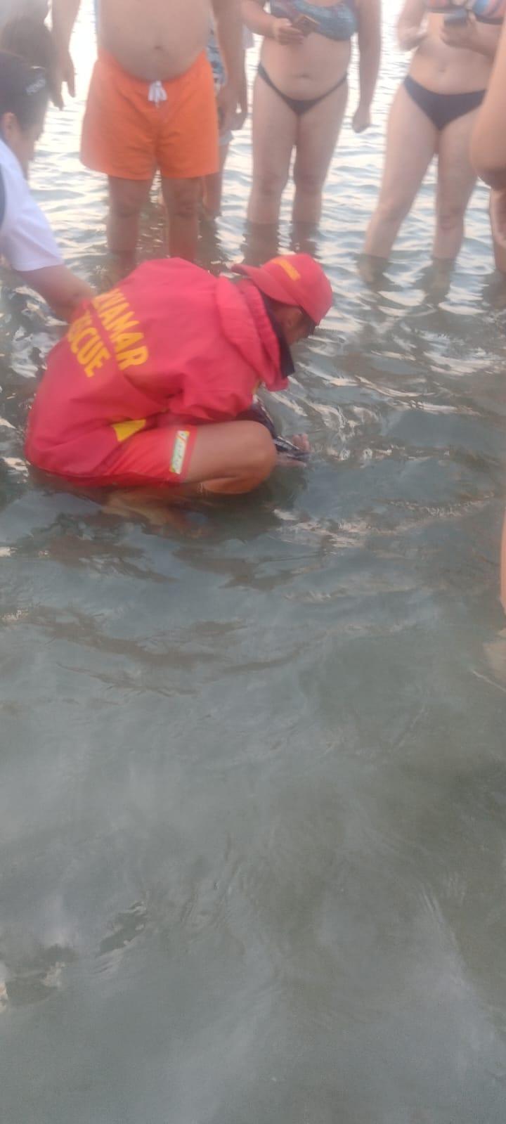 Un pui de delfin a eşuat pe plaja de la Mamaia. Mamiferul a fost salvat de turişti, salvamari şi ISU  781618