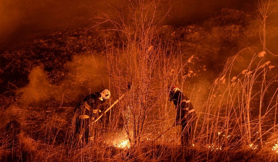 Un incendiu a pârjolit 100 de hectare de culturi agricole, iar zeci de animale au ars de vii, în Piatra Olt