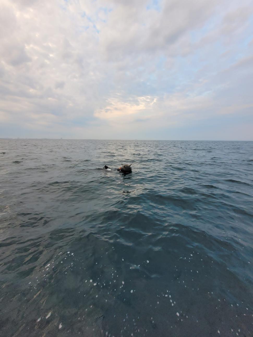 Mină marină descoperită în Marea Neagră, la Eforie! Misiune contracronometru a scafandrilor români 782423