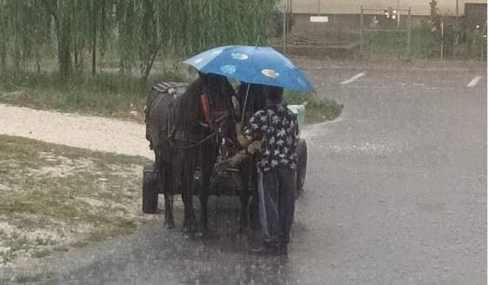 Un bărbat şi-a protejat cei doi cai cu umbrela, de o ploaie torenţială în Piteşti. A stat aşa minute în şir, pentru a calma animalele