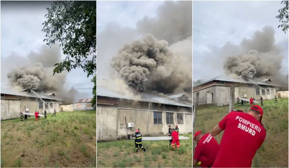 Incendiu puternic la o fabrică de lactate din Prahova. Zeci de pompieri intervin