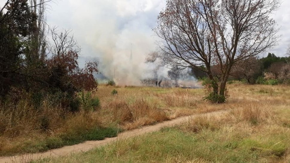 Incendiu puternic în Parcul IOR din București