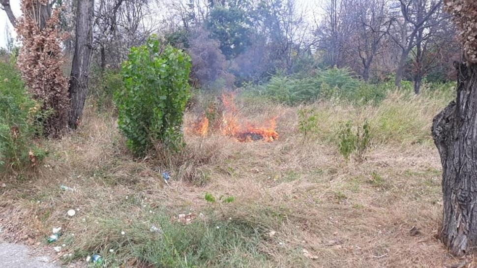 Incendiu puternic în Parcul IOR din București 782521
