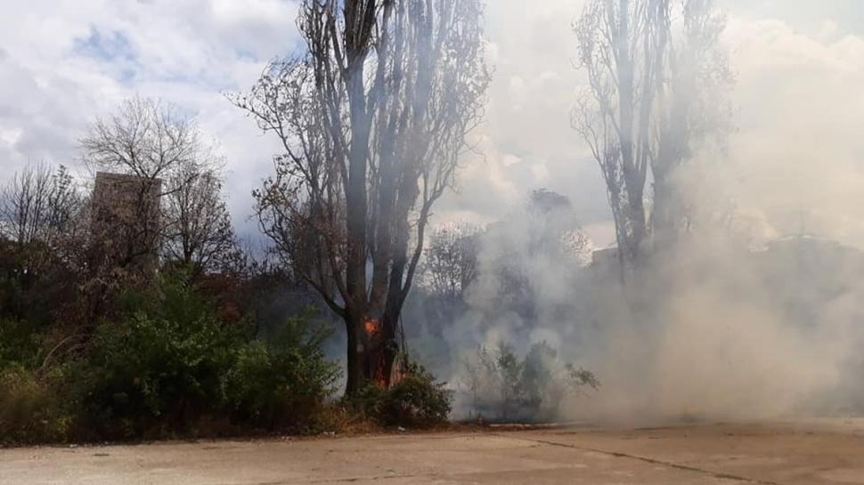 Incendiu puternic în Parcul IOR din București 782522