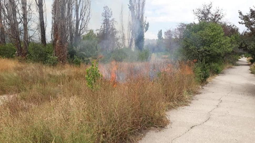 Incendiu puternic în Parcul IOR din București 782523