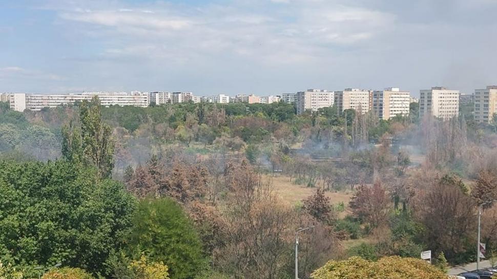 Incendiu puternic în Parcul IOR din București 782524