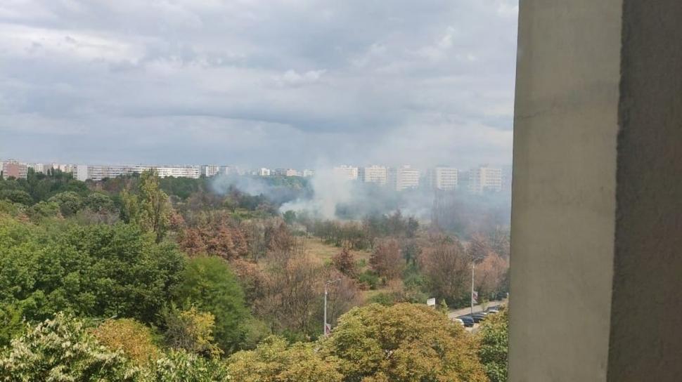 Incendiu puternic în Parcul IOR din București 782525
