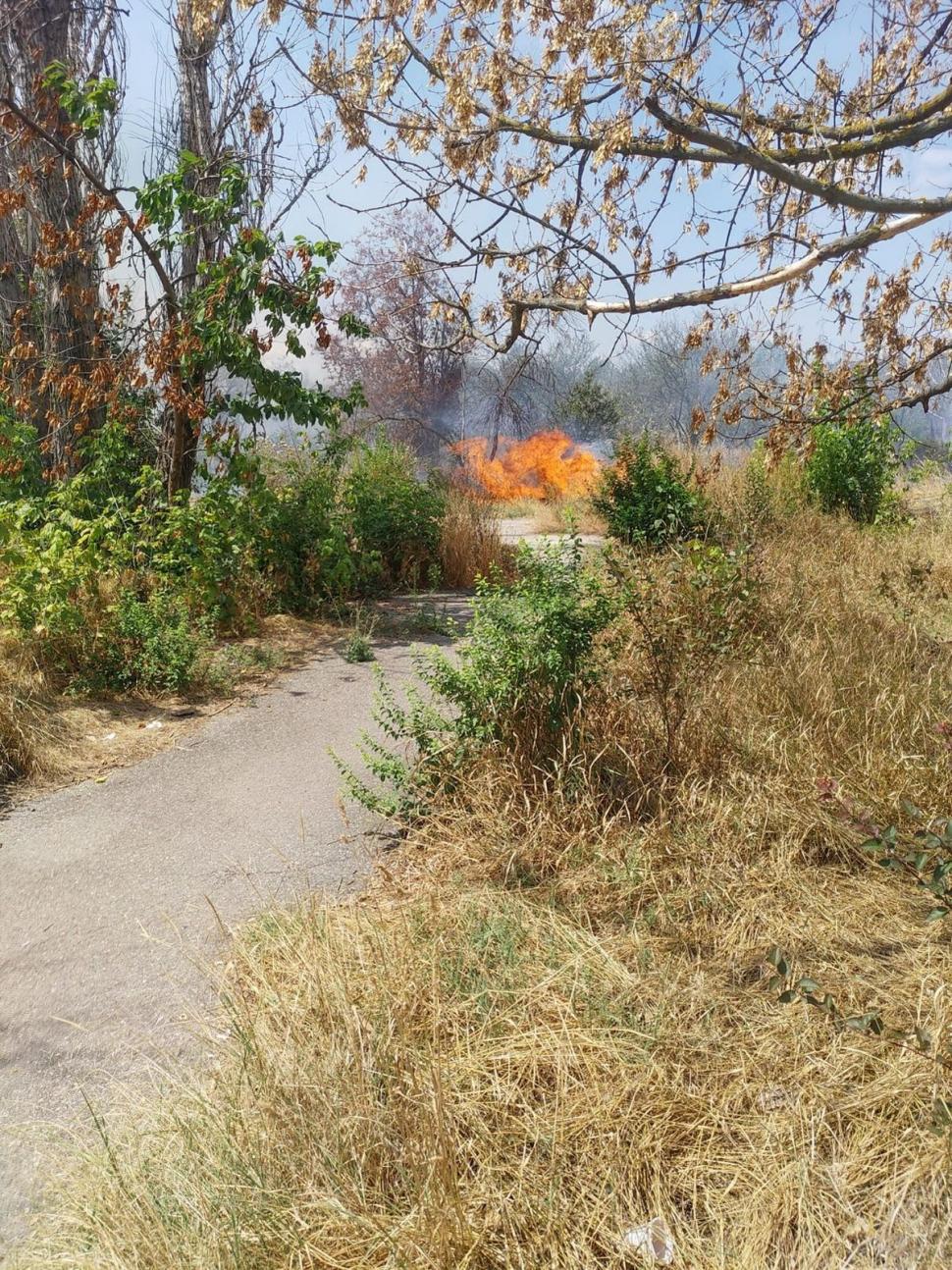 Incendiu puternic în Parcul IOR din București 782526