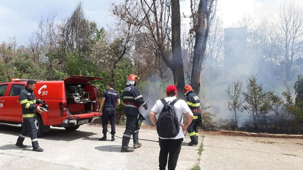 Incendiu puternic în Parcul IOR din București 782527