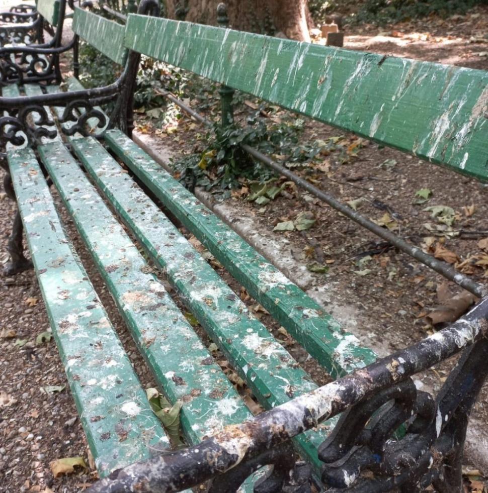 Mizerie și bănci rupte în cele mai mari parcuri din București. Nicușor Dan consideră că sunt curate 782568