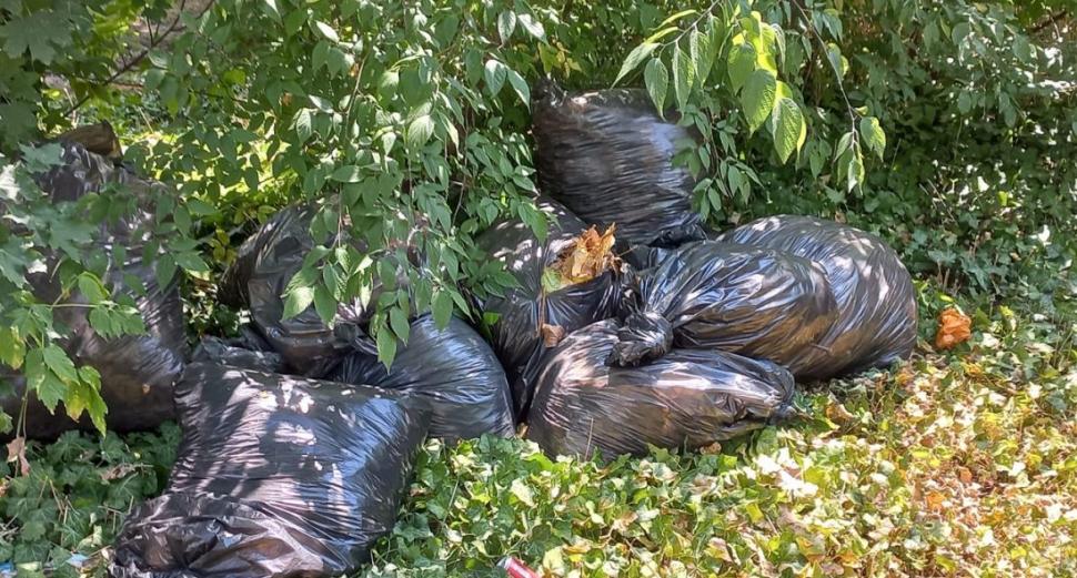 Mizerie și bănci rupte în cele mai mari parcuri din București. Nicușor Dan consideră că sunt curate 782569