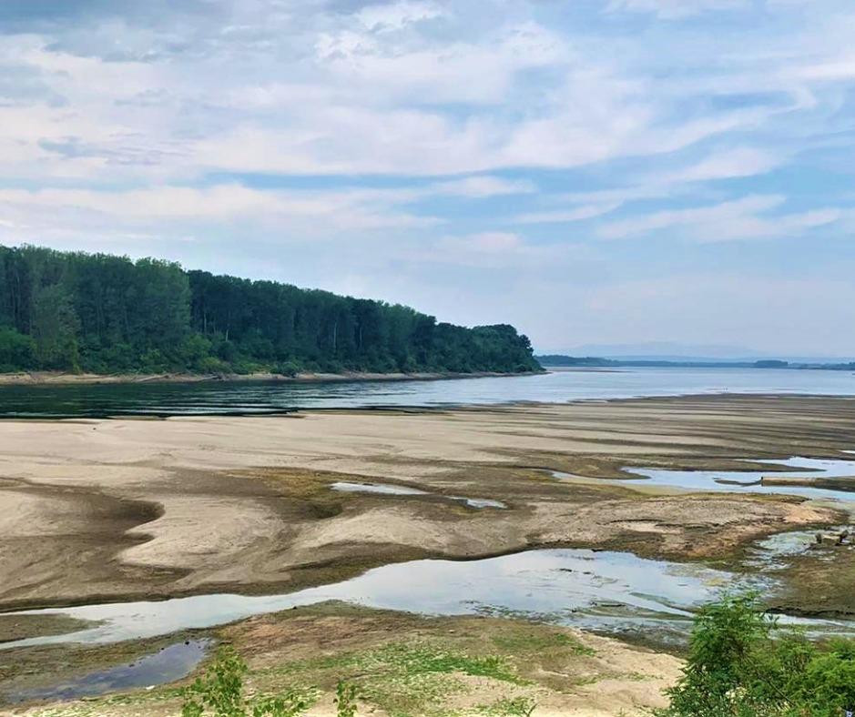 Apele Române: "Nivelul Dunării este la jumătate faţă de media multianuală a lunii august" 782745