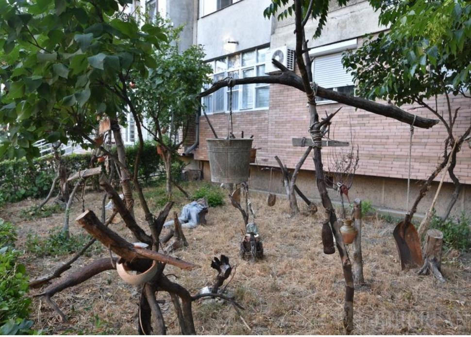Soluţia inedită găsită de un orădean pentru amenajarea grădinii din faţa blocului  782879