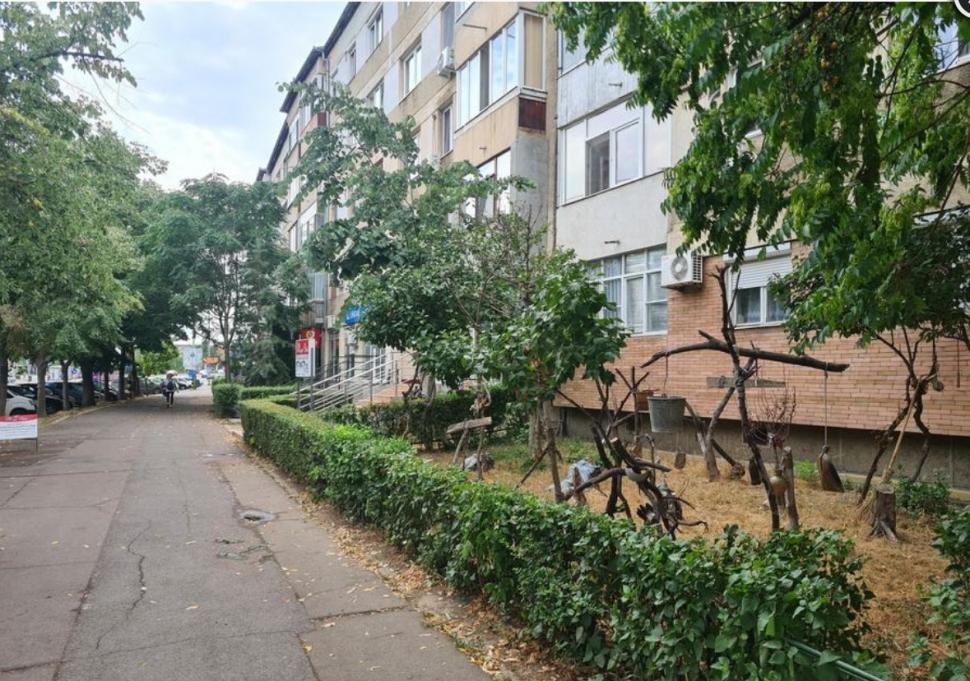 Soluţia inedită găsită de un orădean pentru amenajarea grădinii din faţa blocului  782880