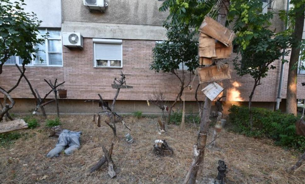 Soluţia inedită găsită de un orădean pentru amenajarea grădinii din faţa blocului  782881