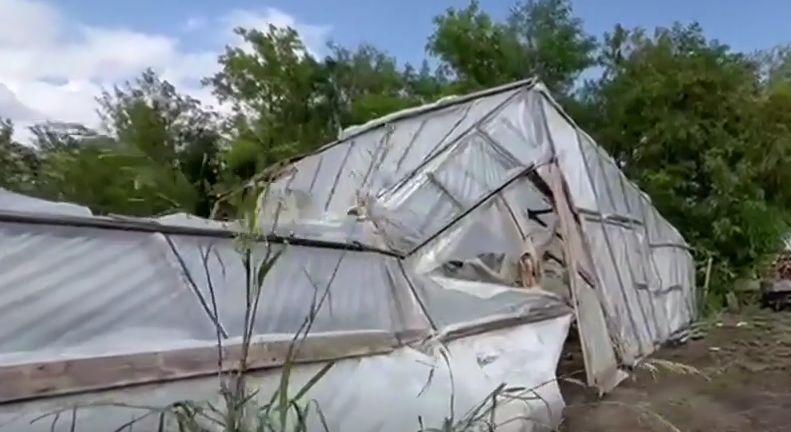 Prăpăd într-o comună din Constanţa. Furtuna a distrus toate culturile de legume 782855