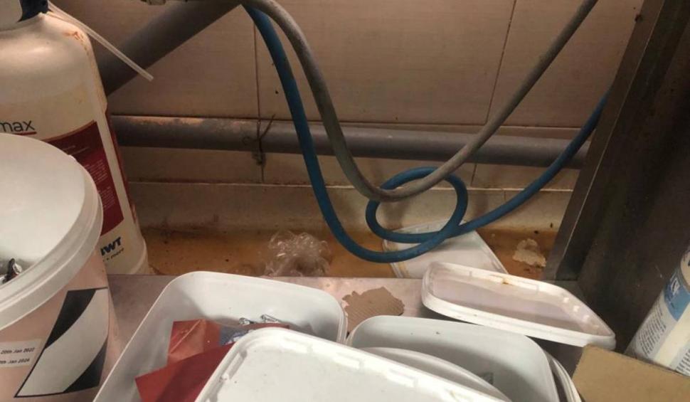 Amenzi de peste 2,6 milioane de lei pentru mâncare expirată şi mizerie, pe litoralul românesc  782820